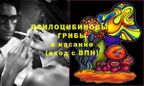 мдма Заводоуковск