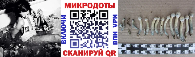 это какой сайт  ссылка на мегу   Сегежа  Псилоцибиновые грибы Psilocybine cubensis 