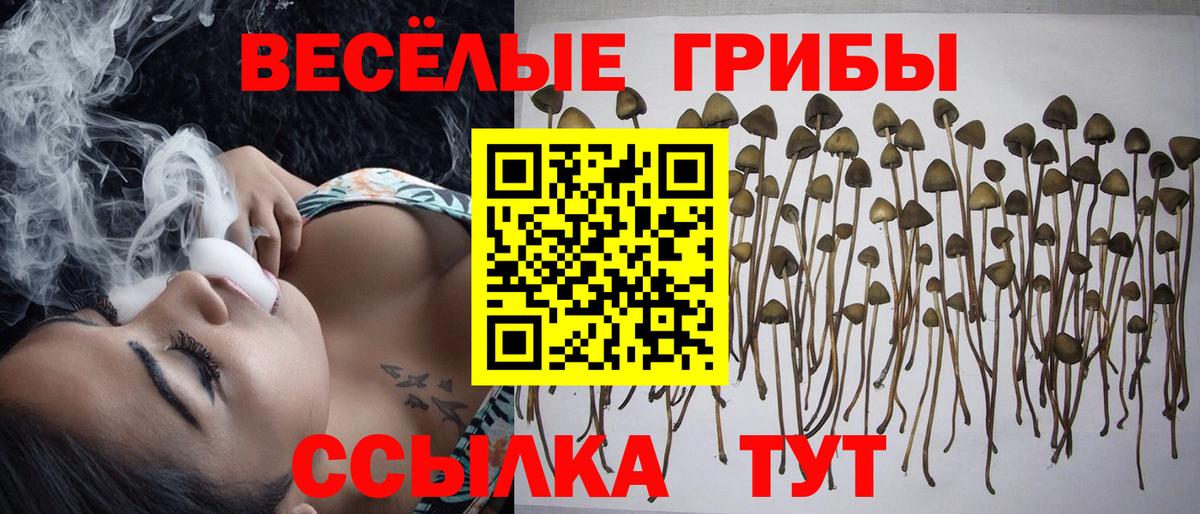 Галлюциногенные грибы Magic Shrooms  Вход с VPN  Сегежа 